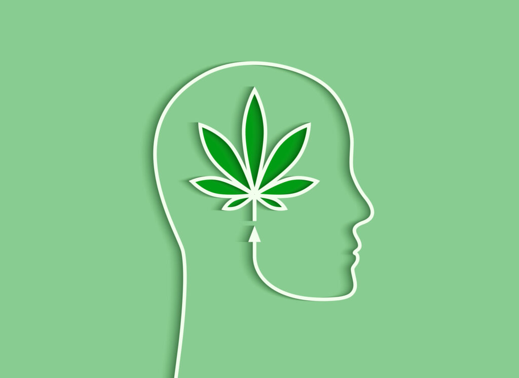 outline of side profile with marijuana leaf at the center on green background, focused on construction