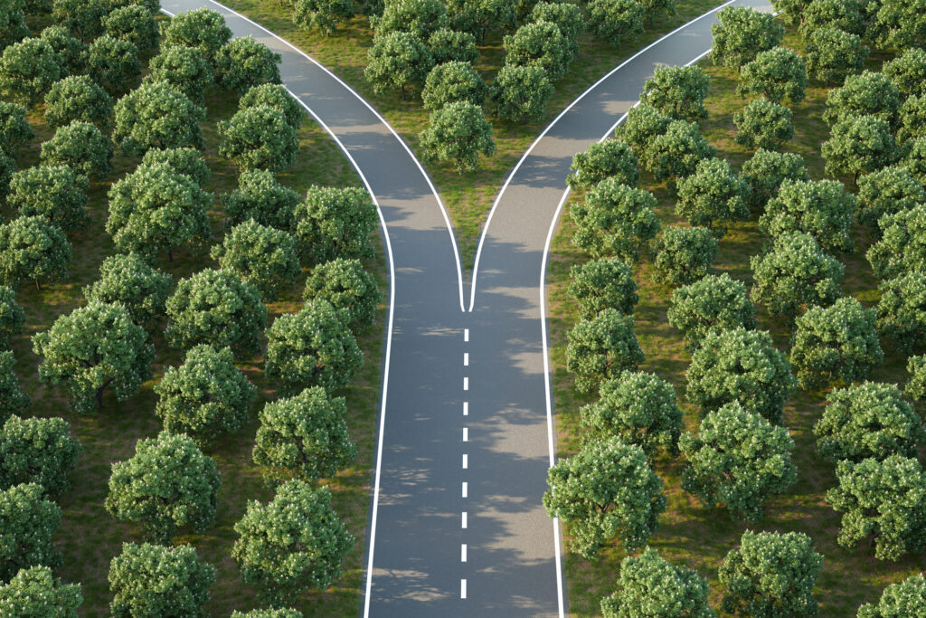 Arial image of a forking road within a forest of horse chestnut trees - concept for "taking a decision" / choice / options representing D&O and cyber crossroads