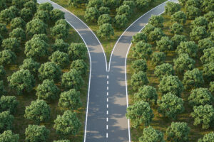 Arial image of a forking road within a forest of horse chestnut trees - concept for "taking a decision" / choice / options representing D&O and cyber crossroads